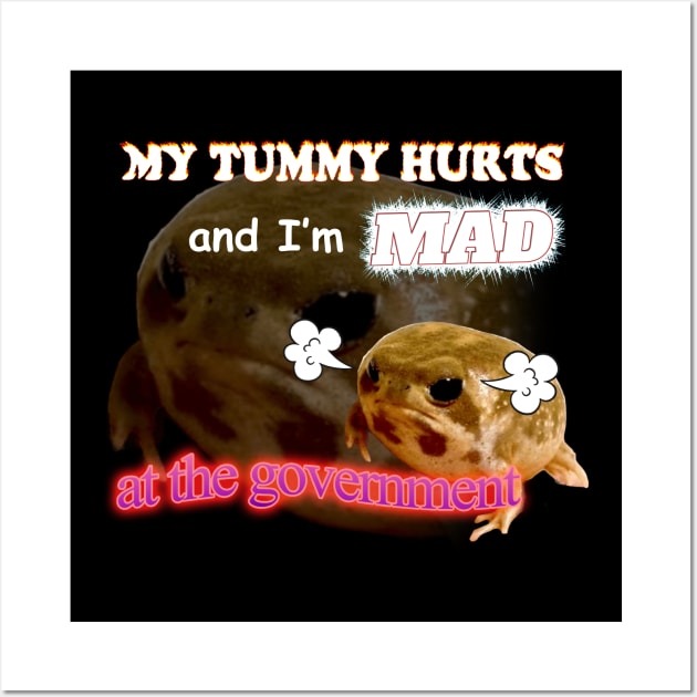 My Tummy Hurts And I'm MAD At The Government Meme Wall Art by swankyswamprat